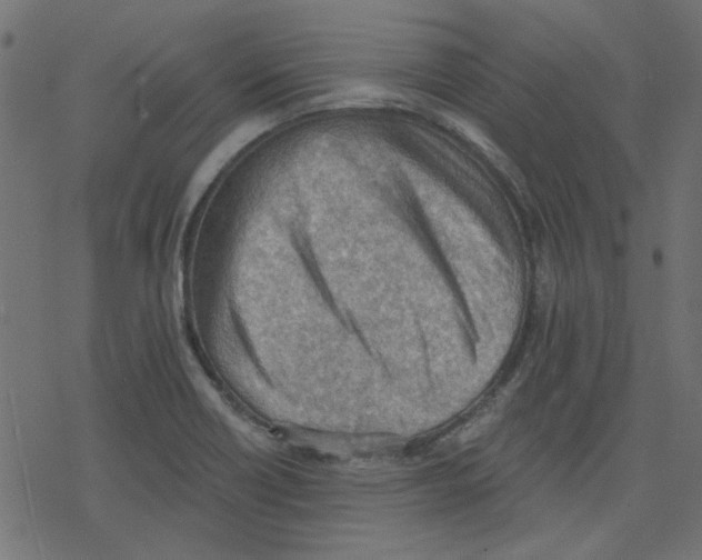 X0000078231418200612011528