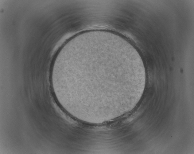 X0000078231422200612011528