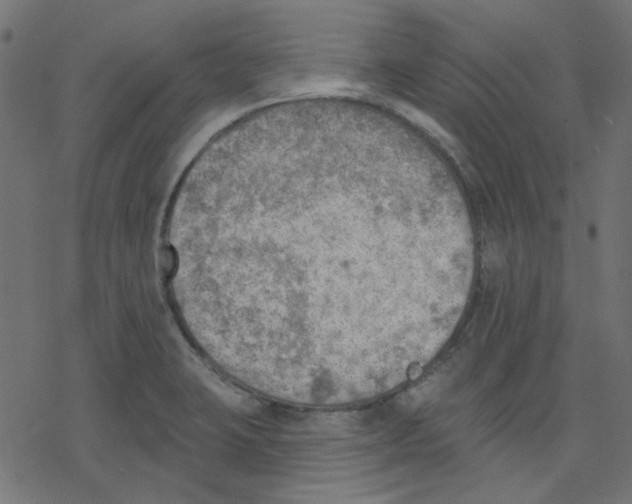 X0000078231423200612011528