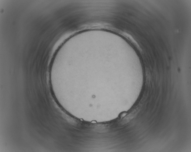 X0000078231424200612011528