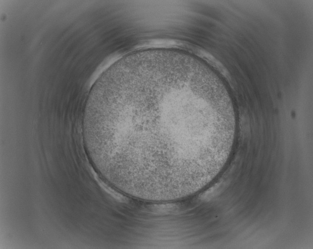 X0000078231425200612011528