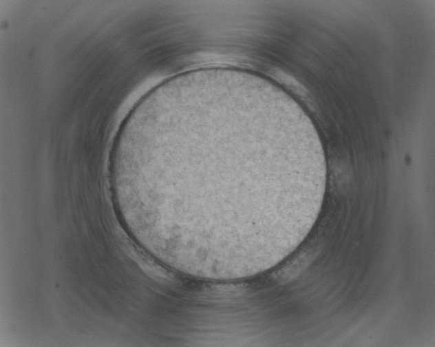 X0000078231427200612011529