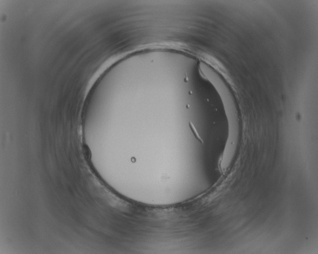 X0000078231428200612011529