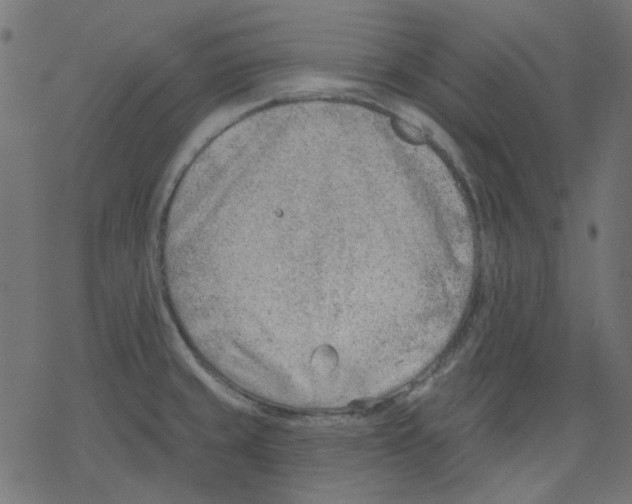 X0000078231429200612011529