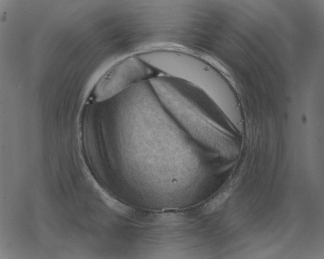 X0000078231430200612011529