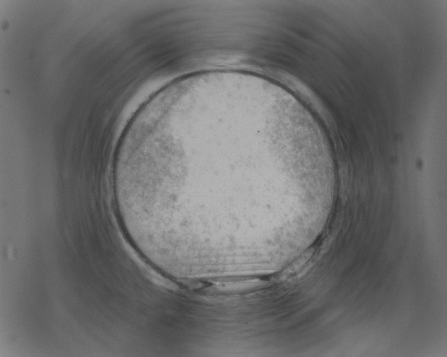 X0000078231432200612011529