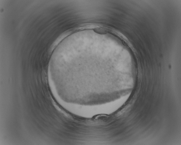 X0000078231433200612011529