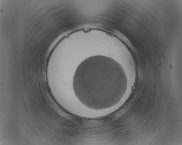 X0000078231436200612011529