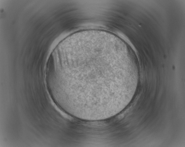 X0000078231437200612011529