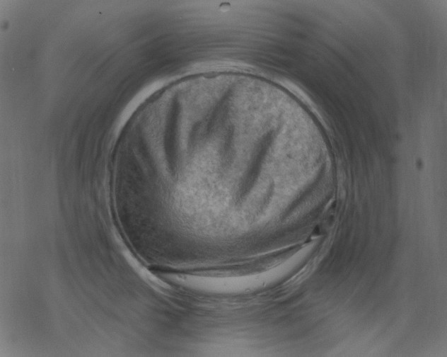 X0000078231438200612011529