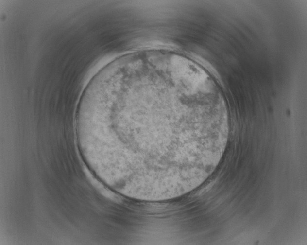 X0000078231439200612011529