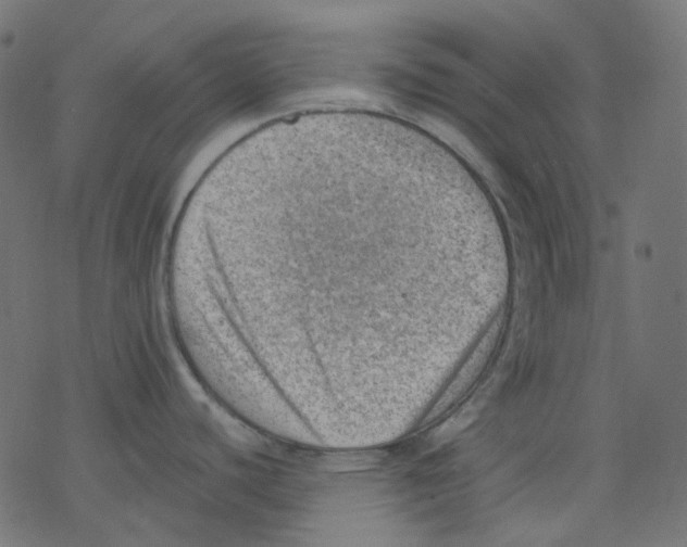 X0000078231440200612011529