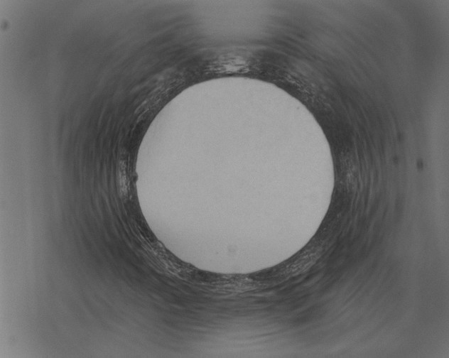 X0000078231442200612011528