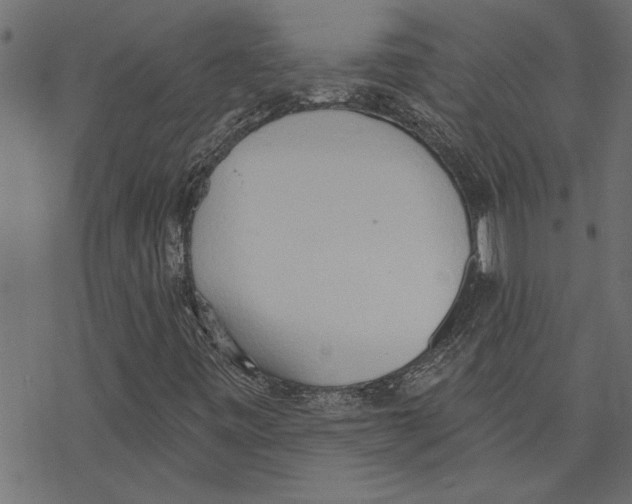 X0000078231443200612011528