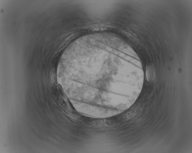 X0000078231444200612011528