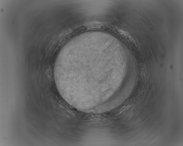 X0000078231445200612011528