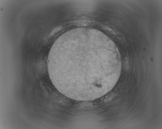 X0000078231446200612011528