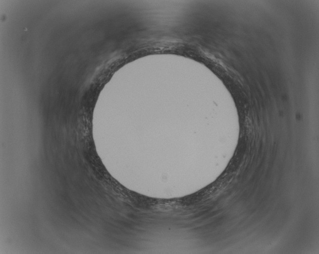 X0000078231447200612011528