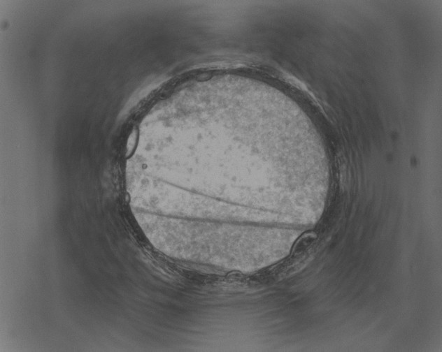 X0000078231448200612011528