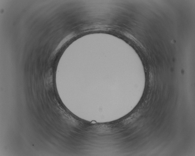 X0000078231450200612011528