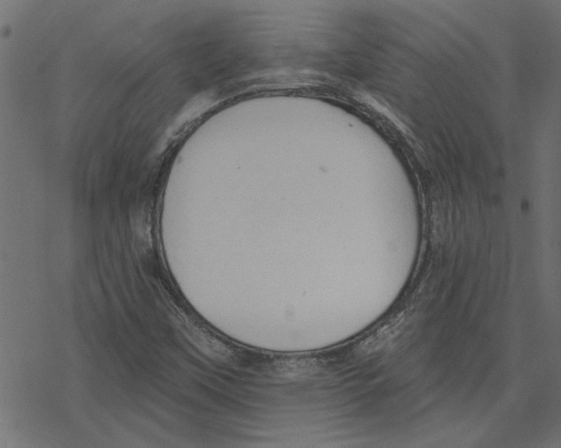 X0000078231451200612011528