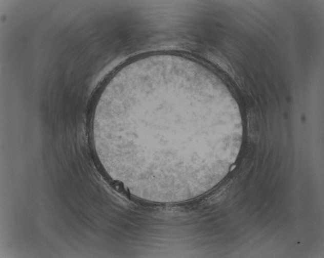 X0000078231452200612011528