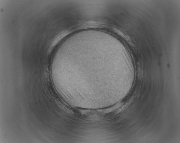 X0000078231453200612011528