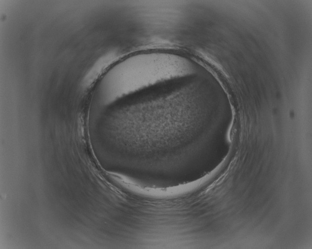 X0000078231455200612011528