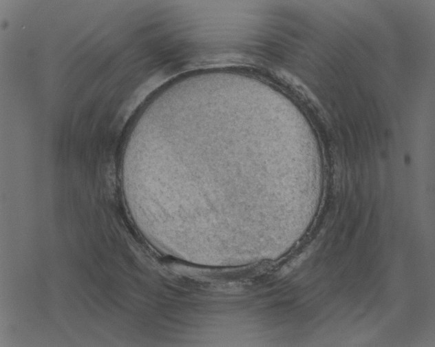 X0000078231457200612011528