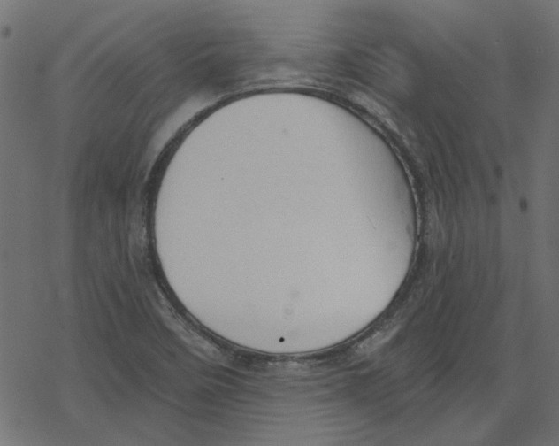 X0000078231458200612011528