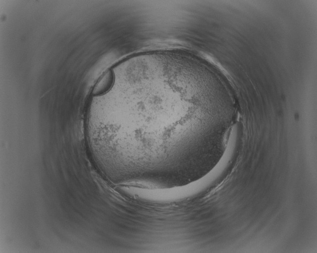 X0000078231459200612011528