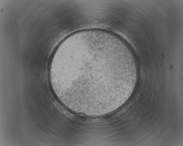 X0000078231460200612011528