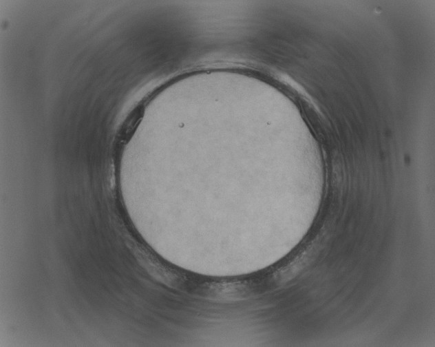 X0000078231461200612011528