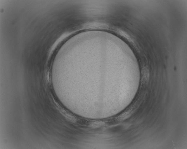 X0000078231462200612011528