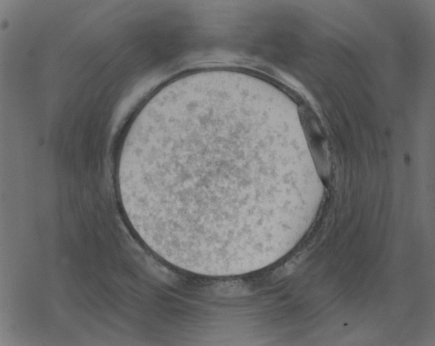 X0000078231464200612011528