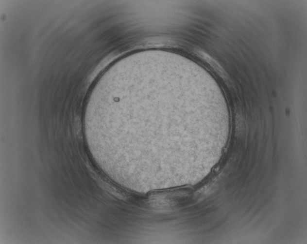 X0000078231465200612011528