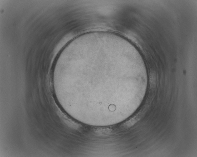 X0000078231466200612011528