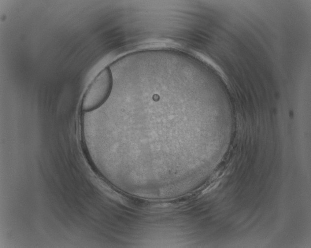 X0000078231467200612011528