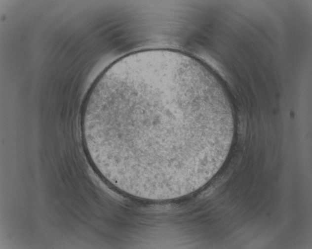 X0000078231468200612011528