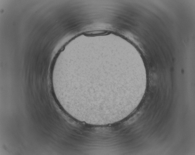 X0000078231469200612011527