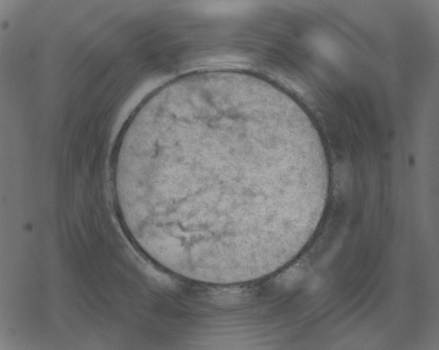 X0000078231470200612011527