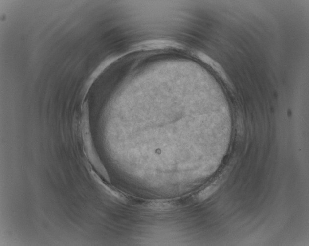 X0000078231473200612011527