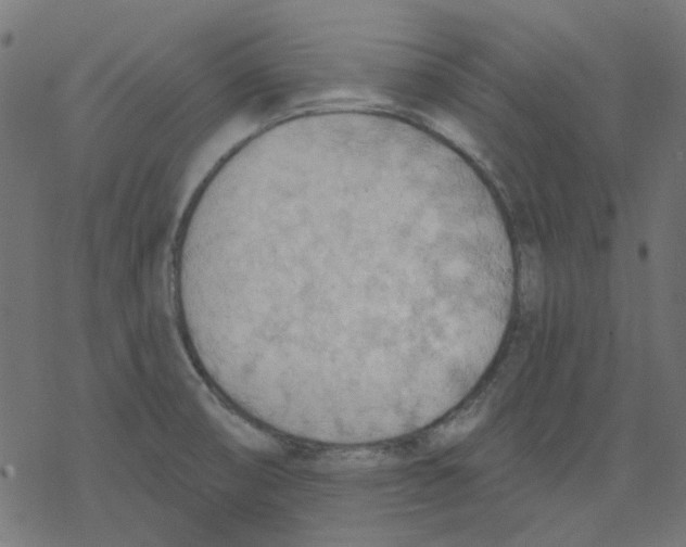 X0000078231474200612011527