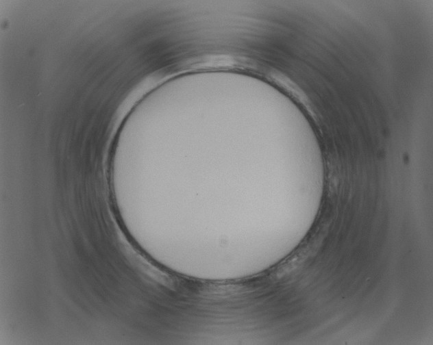 X0000078231475200612011527