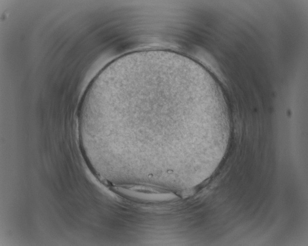 X0000078231476200612011527