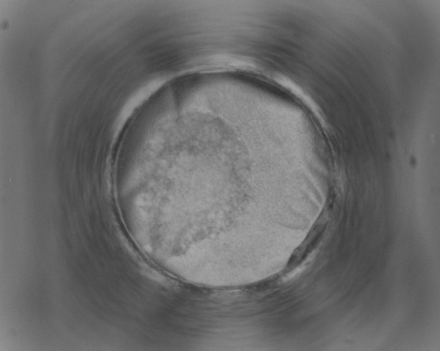 X0000078231477200612011527