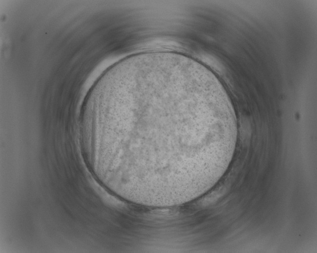 X0000078231478200612011527