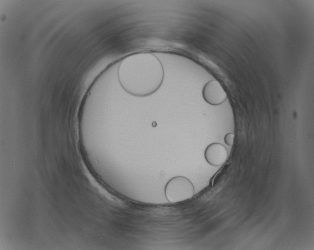 X0000078231479200612011527