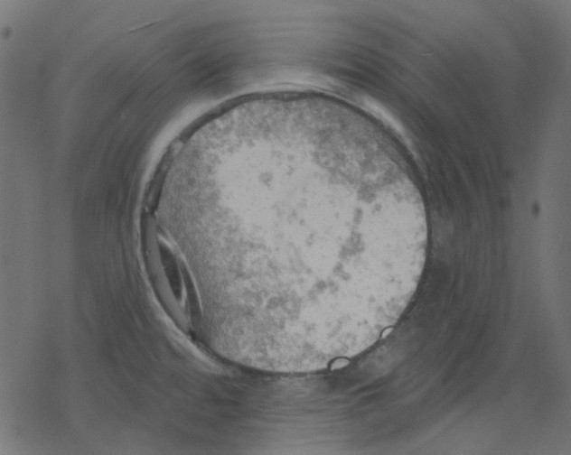 X0000078231480200612011527