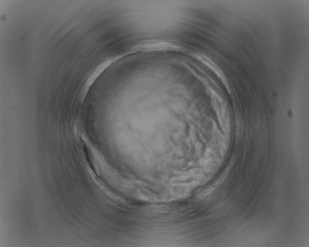 X0000078231481200612011527